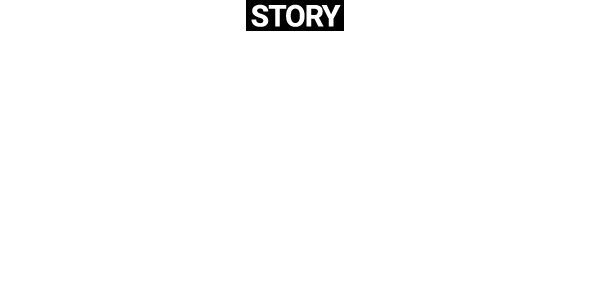 STORYDEVELOPMENT