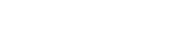渡り鳥やハトの習性への疑問から生まれたZERO Chain