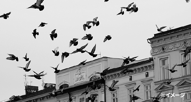 世界的な建築家と折衝も