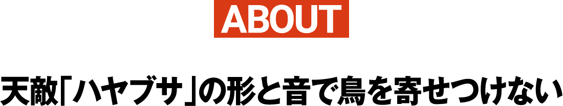 ABOUT天敵「ハヤブサ」の形と音で鳥を寄せつけない