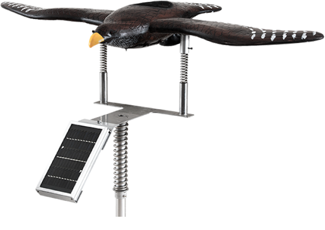 ソーラータイプ