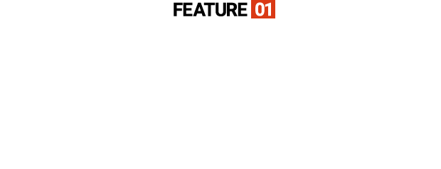 FEATURE01VOICE鳥の絶叫音を模した70種類の警報音で威嚇。