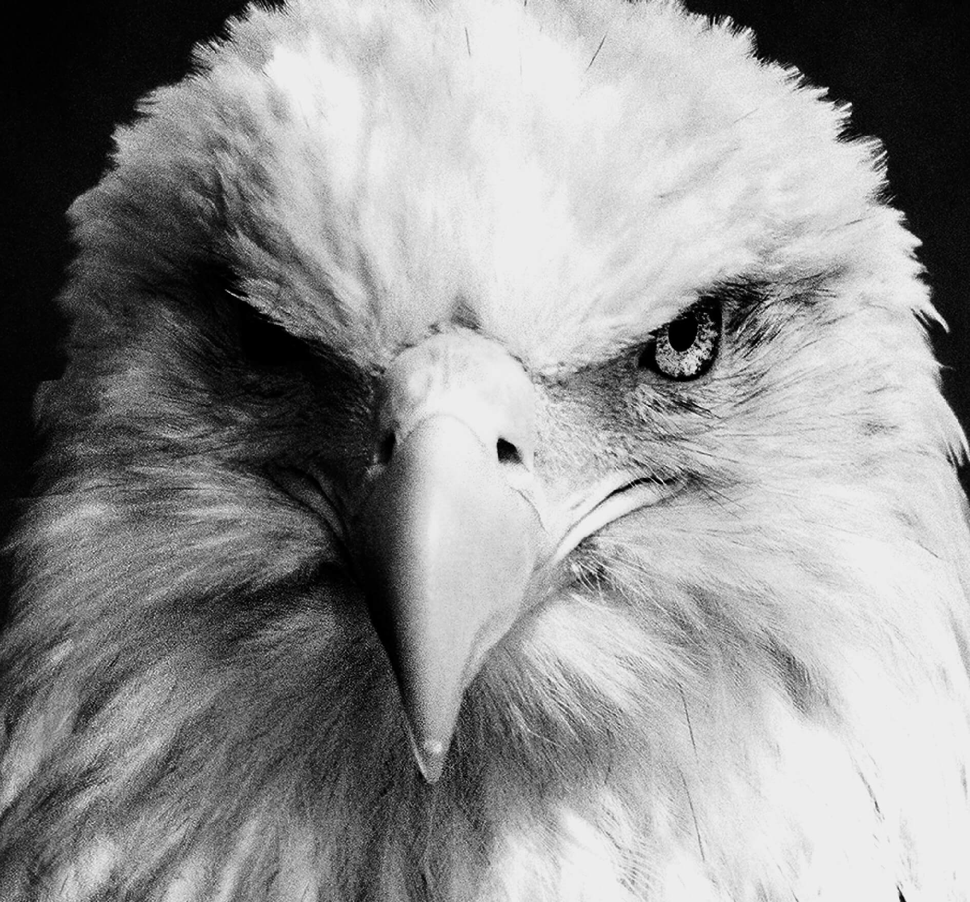 ZEROBIROゼロバード