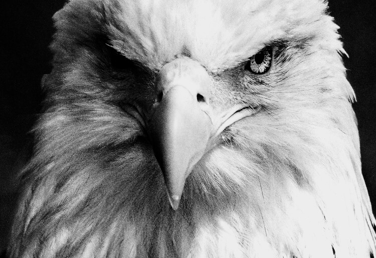 ZEROBIROゼロバード